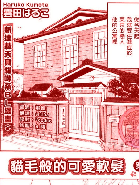 耽人-猫毛般的可爱软发