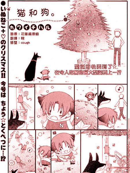 耽人-猫与狗