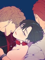 耽啵-Love or Hate