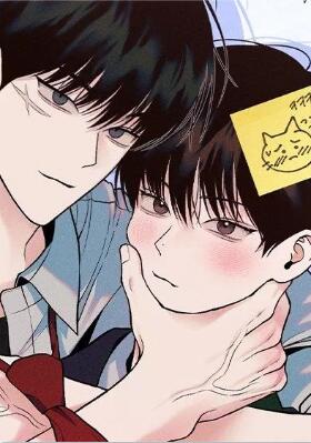 耽啵-周一的救星