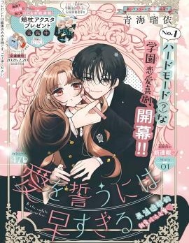 漫宝-爱之誓约莫轻许