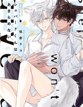 漫宝-大狼狗永不言弃