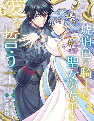 漫宝-琥珀色的骑士向圣女的左手许下爱的誓言