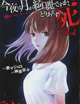 漫宝-今夜月美愿君亡