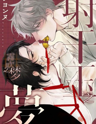 漫宝-射干玉之梦