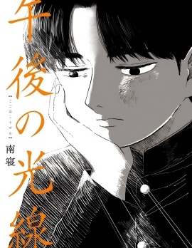 漫宝-午后的阳光