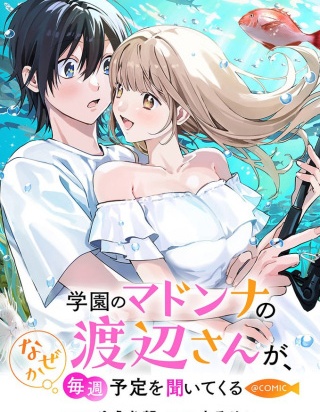 漫宝-校园女神渡边同学，不知为何每周都来问我行程