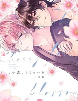 漫宝-这份恋情、樱花色