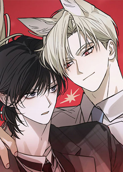 耽酷-我的狐妖同事