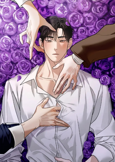 耽酷-画布下的真相