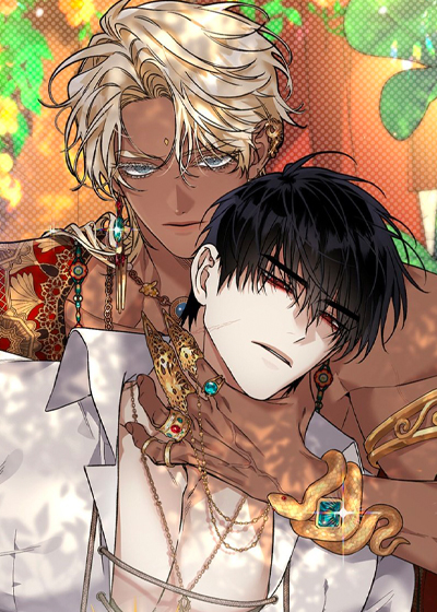 耽酷-白夜的花路