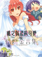 漫人-总之就是很可爱 官方FANBOOK 结婚金言集