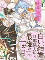 漫人-和无性婚姻的丈夫过的最后一个月